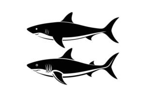 Two black and white sharks on a white background vector