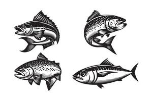 Four different fish on a white background vector