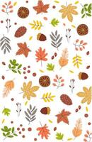 Autumn background of dry leaves walnuts on white vector