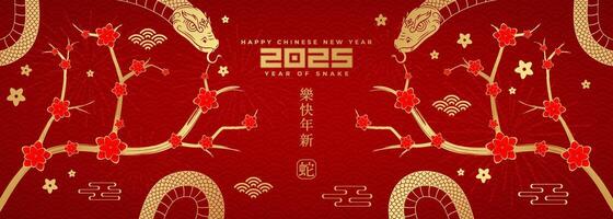 Ring in the Year of the Snake 2025 with striking gold snake artwork and elegant traditional Chinese designs. Chinese translation Happy Chinese New Year 2025, Year of the Snake. vector
