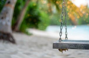 Wooden Swing Hanging in Tropical Beach Setting During Sunset photo