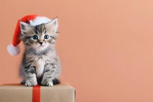 Cute Kitten Wearing Santa Hat on Gift Box Against Orange Background photo