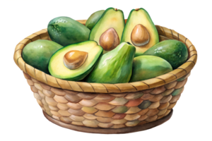 Watercolor hand drawn Lots of Avocado in a basket isolate on transparency background png