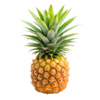 pineapple isolate on transparency background png