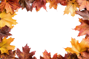 Autumn leaves frame png