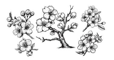 A drawing of a tree with flowers and leaves vector