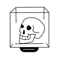 A skull displayed in a protective case as part of an exhibit vector