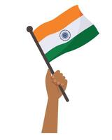 indian flag design isolated vector