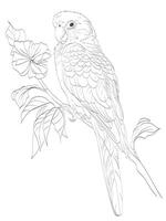 Macaw on branch Illustration vector