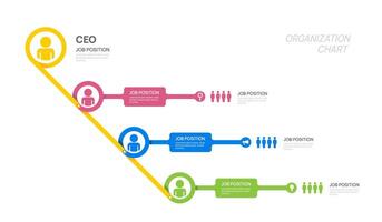 Infographic template for organization chart hierarchy with business avatar icons. infographic for business. vector