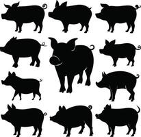 Isolated Pig Silhouettes in Various Poses vector