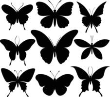 Isolated Butterfly Silhouettes in Various Poses vector