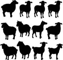 Isolated sheap Silhouettes in Various Poses on White Background vector