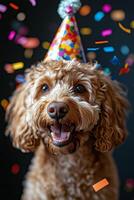 Happy dog celebrating a birthday with a party hat and colorful confetti in a bright room photo