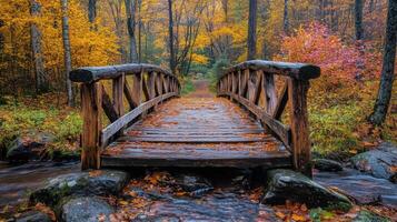 Charming wooden bridge over a stream in an autumn forest with vibrant orange foliage photo