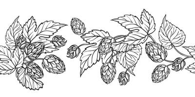 board of hop plant with leaves and buds, hand drawn craft beer ingredients, black and white illustration of branch humulus lupulus, inked illustration vector
