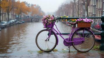 Purple bicycle adorned with flowers near a canal in Amsterdam during autumn photo