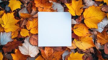 Autumn mood paper frame mockup on orange leaves background photo