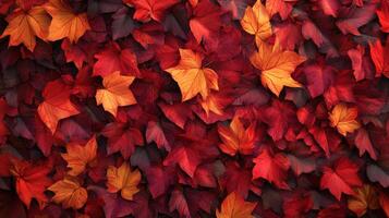 Red and Orange Autumn Leaves Background photo