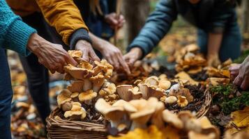 Wild mushroom foraging in the forest photo