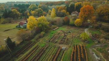 An aerial view of a vegetable garden photo