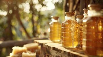 Beekeeping and Honey Harvesting Background photo