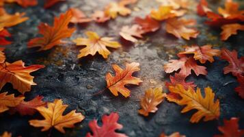 Red and Orange Autumn Leaves Background photo