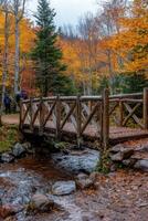 A serene wooden bridge over a creek in a colorful autumn forest on a foggy day photo