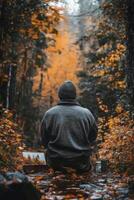 An artist paints a vibrant autumn landscape in a serene forest during golden hour photo