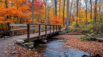 Charming wooden bridge over a stream in an autumn forest with vibrant orange foliage photo