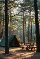 Camping in a tranquil forest with a tent and picnic table during morning light photo
