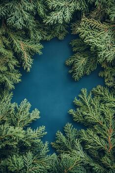 Lush green cedar foliage framing a deep blue background for creative design elements photo