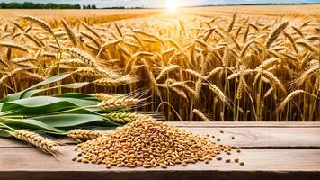 Pile of wheat grain seeds and ear of wheats on wooden table with brown wheat field range view and sun light ray on background photo