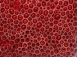 Microbiology shot of red blood cells clustered within a human capillary emphasis on the intricate cell wall texture and the fluid dynamics structure photo