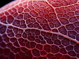 macro shot of showcasing the intricate interplay between the red human blood vein and the translucent structure microbiology photo