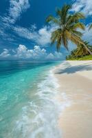Serene beach with turquoise water and palm trees under a bright blue sky photo