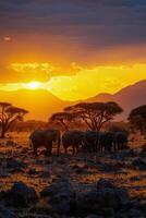 Elephants walking during sunset in a golden landscape photo