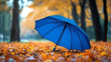 A blue umbrella on a path covered with orange leaves during autumn in a park photo