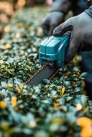 Gardener using electric hedge trimmer to shape dense green shrubs in a sunny outdoor space photo