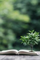 A small green plant grows from an open book on a wooden surface in a serene outdoor setting photo