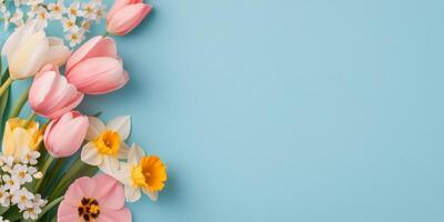 Colorful spring flowers arranged artistically on a light blue background for decoration photo