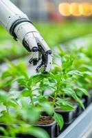 Robotic hand tending to young plants in a modern greenhouse during daytime photo