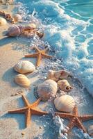 Coastal shoreline at sunrise with seashells and starfish amid gentle ocean waves photo