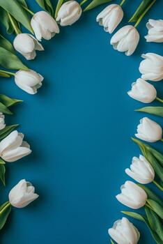 Arrangement of fresh white tulips on a vibrant blue background in a circular layout photo