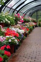 Vibrant flower-filled greenhouse walkway surrounded by blooming plants in springtime photo