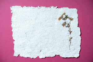 A sheet of paper with dried flowers made of recycled paper. Secondary production. Making paper with your own hands at home. photo