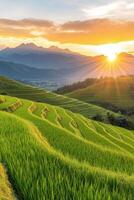 Sunset over lush terraced rice fields in mountainous landscape with vibrant sky photo