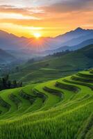 Sunset over lush terraced rice fields in mountainous landscape with vibrant sky photo