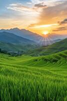 Sunset over lush terraced rice fields in mountainous landscape with vibrant sky photo