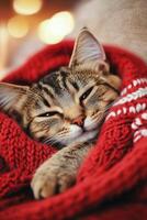 Cozy cat wrapped in a red blanket resting indoors on a chilly day photo